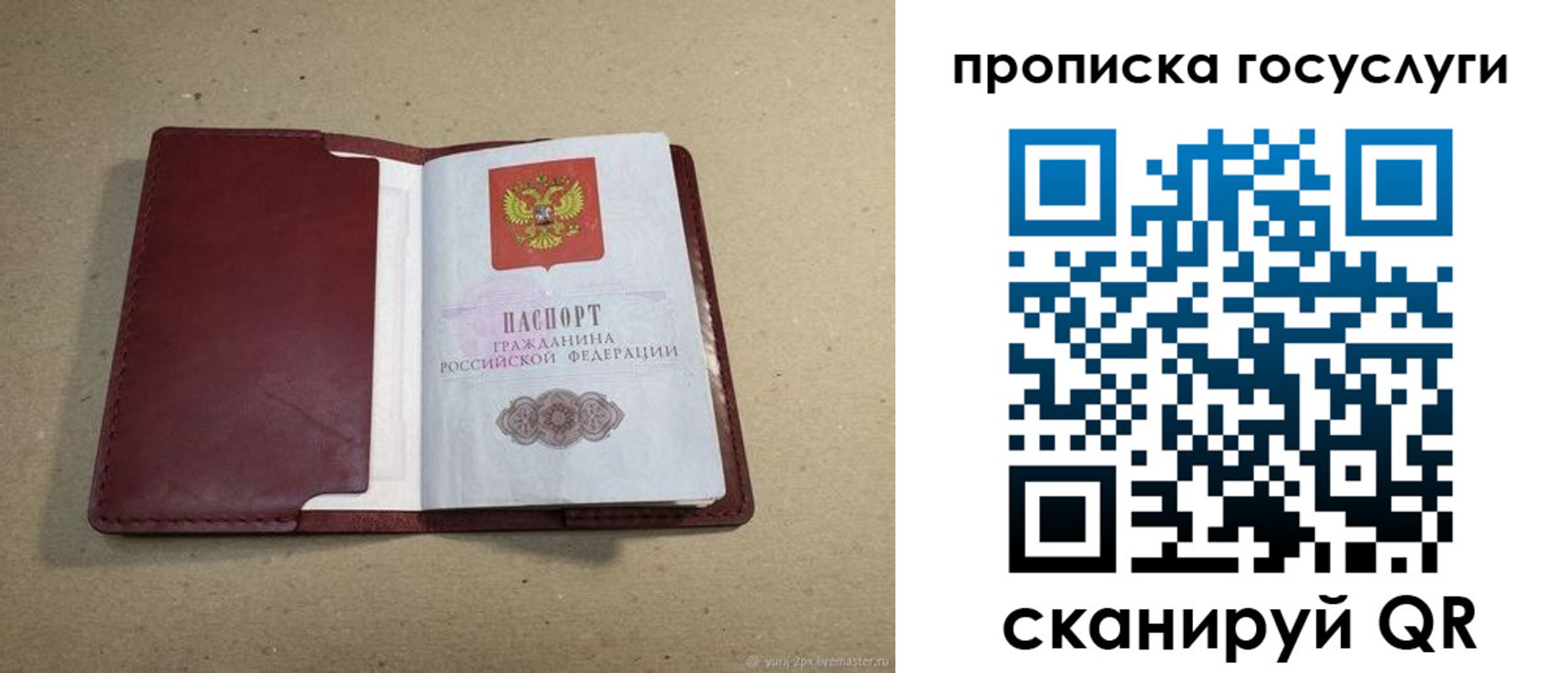 прописка поиск в Долгопрудном